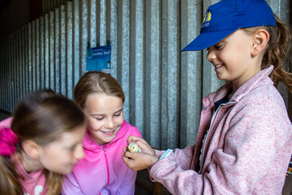 Picture of children looking at a chick being held by girl