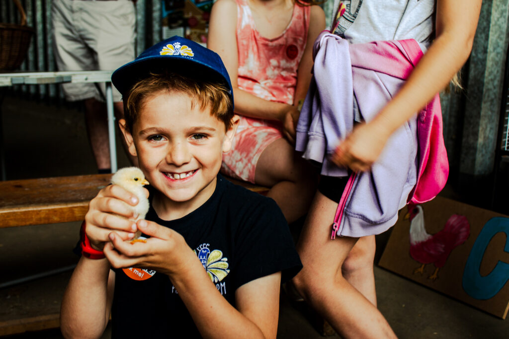 Picture of boy holding a chick