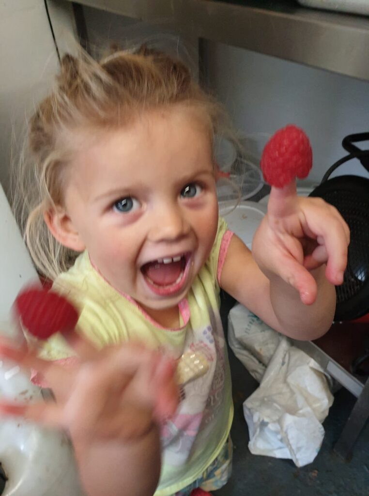 raspberryjd